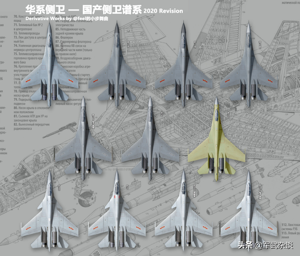 中国18种苏-27系列战机，进口5种，国产13种，你分得清吗