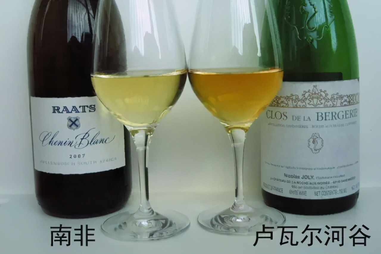 全世界最流行的24大葡萄品种，3分钟看完就算入门了
