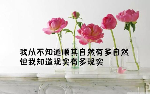 10句说到心坎里的人生哲理短句，发朋友圈秒赞