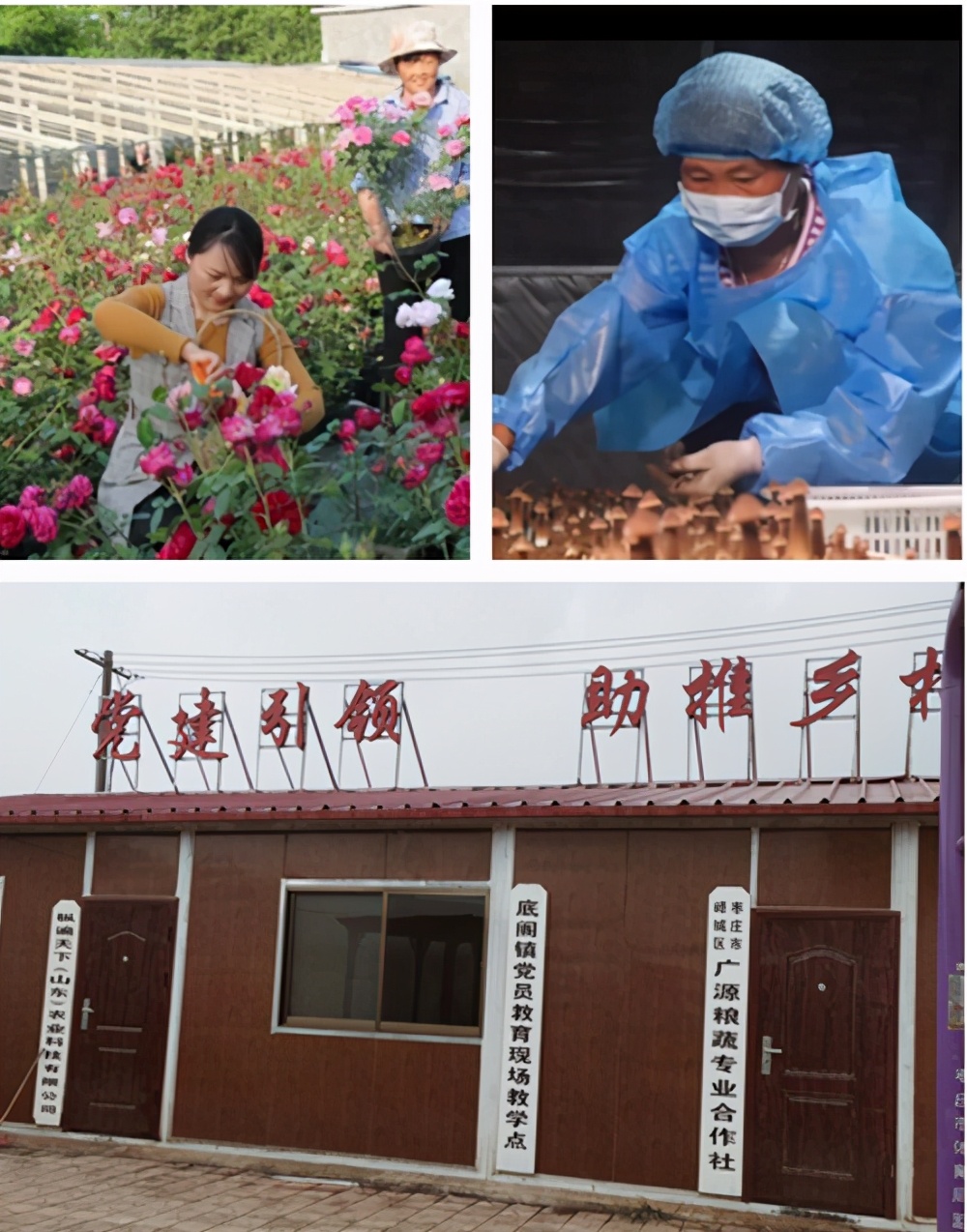 《乡村振兴看底阁》第四期：坚持文化自信，实施人才振兴