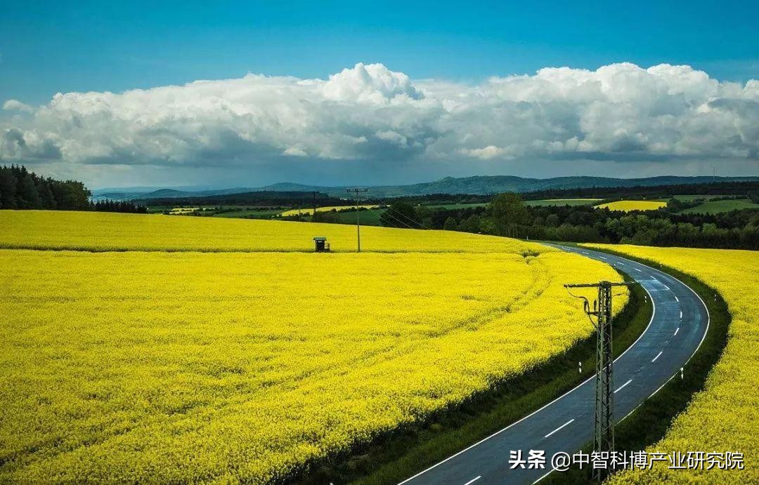 农村电商助力乡村振兴腾飞
