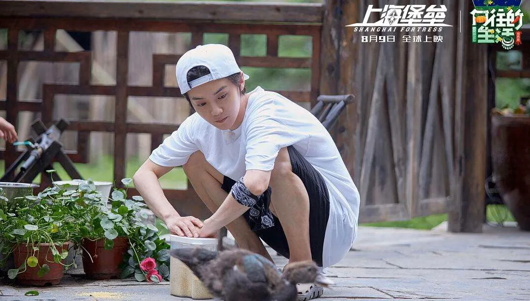 人气偶像来到《向往的生活》之后，居然全都能