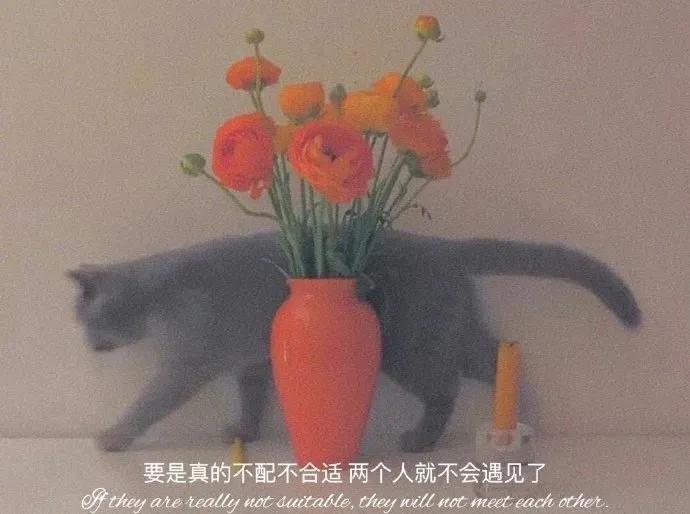 因为太喜欢你，所以看谁都像情敌