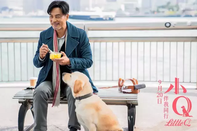 小伟电影百度云免费共享1080p高清版完整版