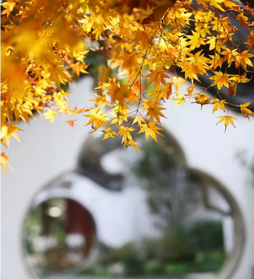踏歌争唱清秋词，古诗词里的秋词，是秋天最美的色彩-第22张图片-诗句网
