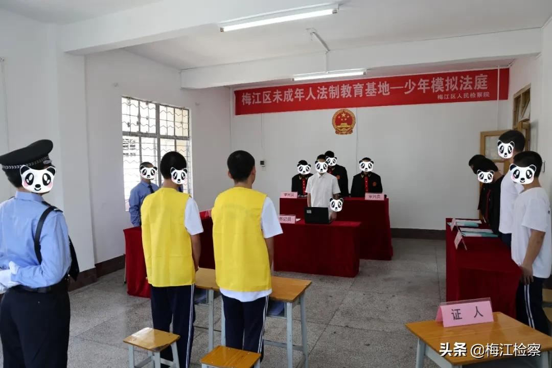 我为群众办实事I零距离学法,“青少年模拟法庭”开庭!
