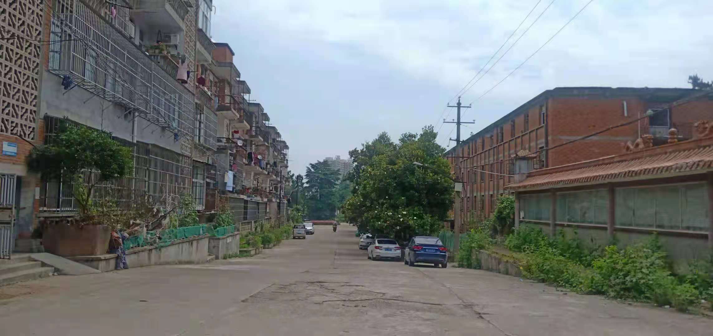 湖北老舊小區(qū)改造：隨州府河化工廠改造留住了“李煥英”情懷