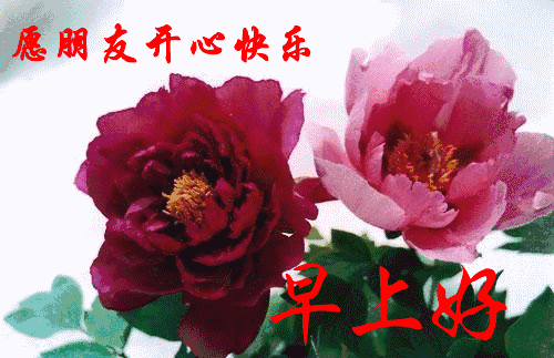 最近刚出的早上好图片 特别漂亮的早上好图片图片