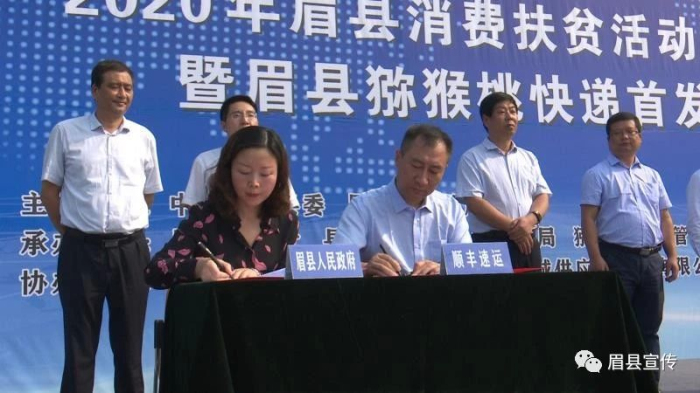 ����ü��2020�����ѷ�ƶ����� ��������⨺�������ȫ��