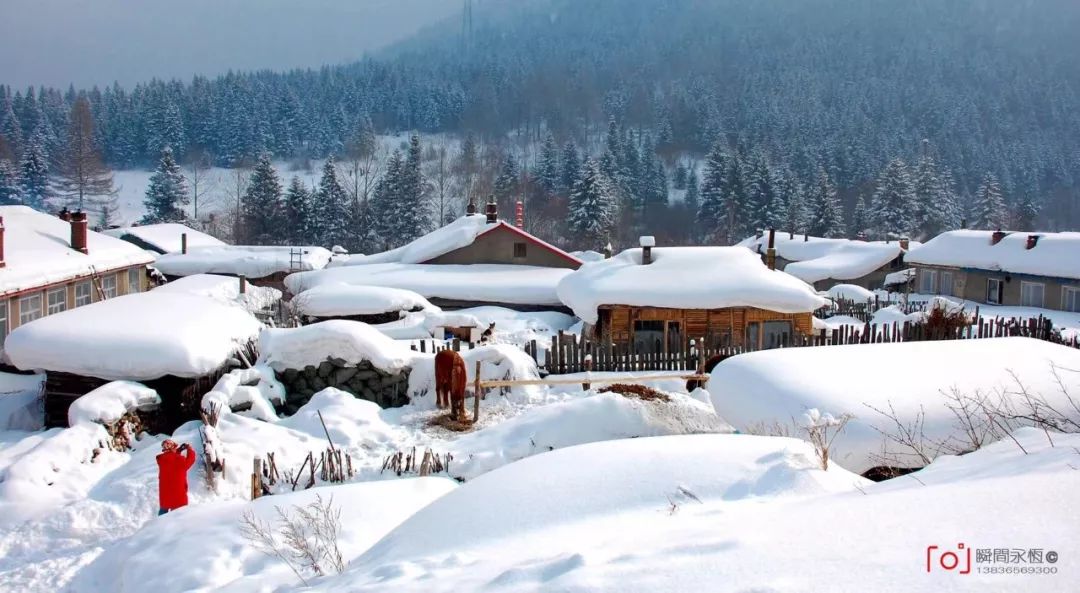 Such winter is really beautiful! You also can try so pat