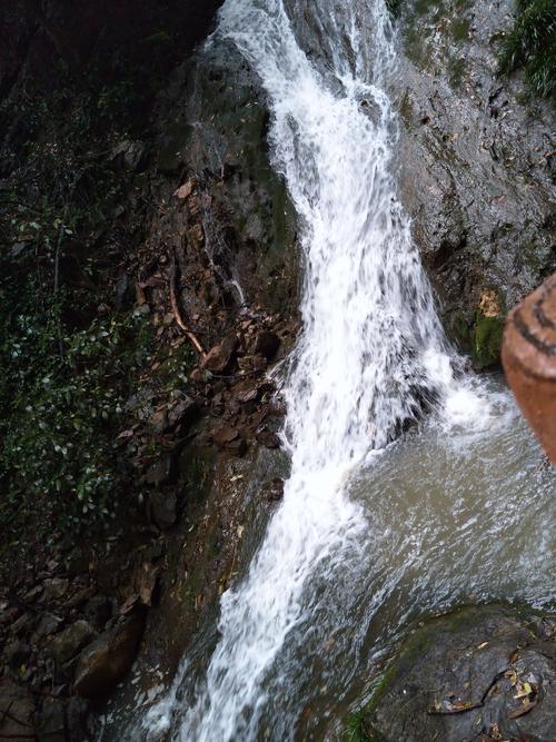 三峡中真有猿鸣吗？？揭三峡猿啼谜团