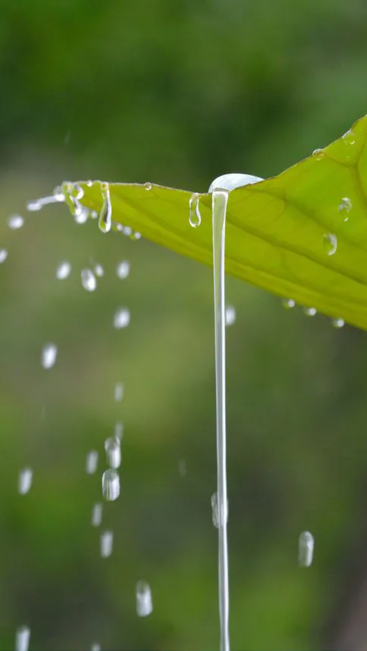 让小雨驱散夏日的炎热-第3张图片-非凡网
