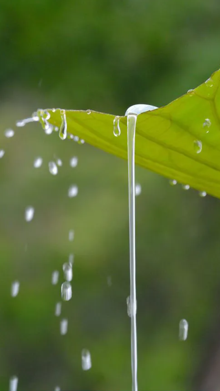 让小雨驱散夏日的炎热-第3张图片-诗句网