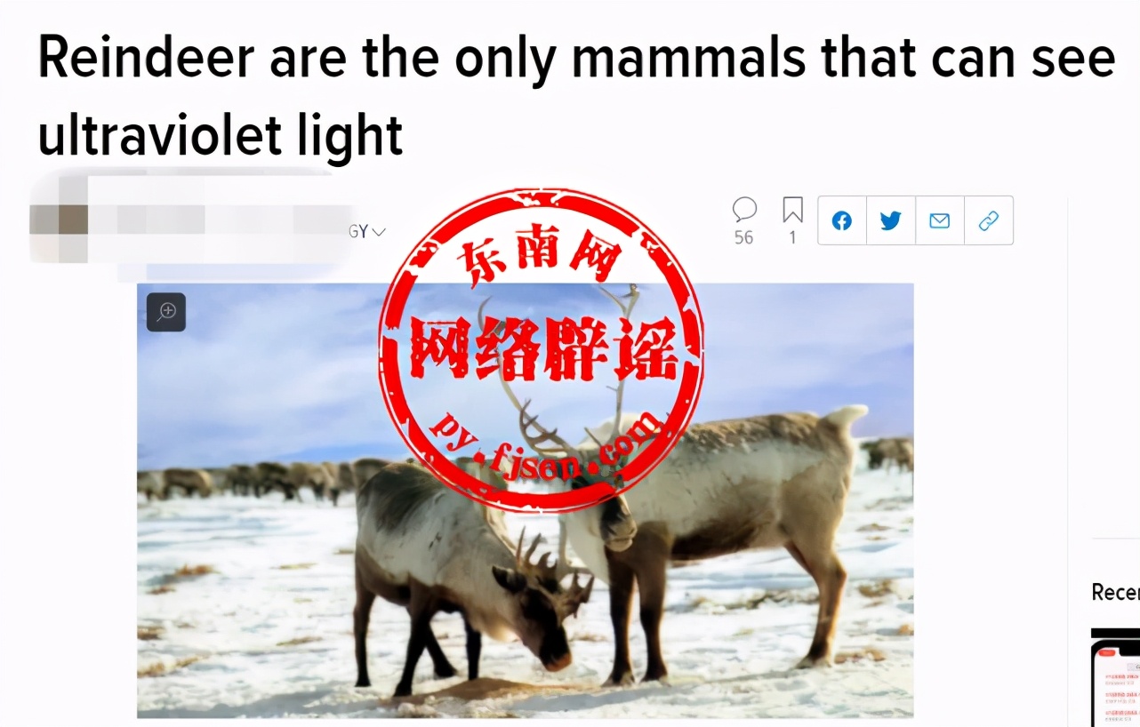 驯鹿是陆地动物中唯一能看得见紫外线的动物？并非如此