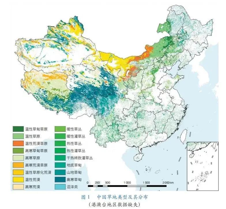 给退化的草原疗伤，一群人一辈子的研究