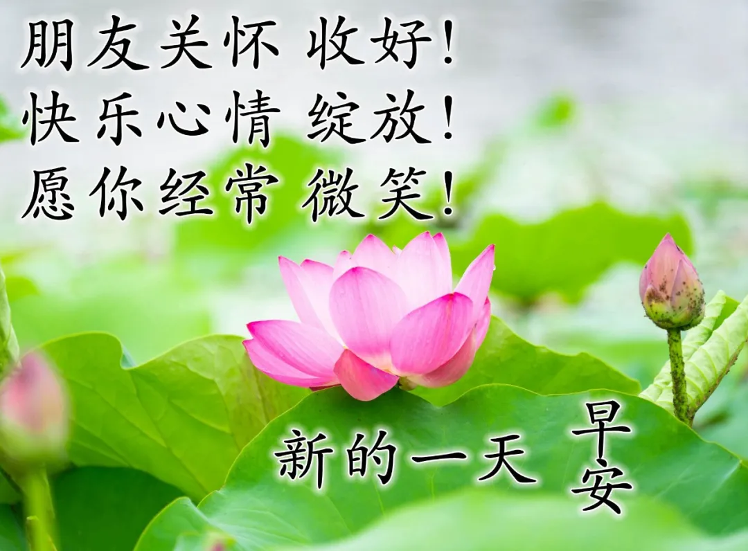 早上好文案配图片，早上好朋友圈正能量句子简短图片