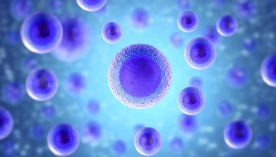 干细胞究竟能干什么？盘点干细胞的8大用途