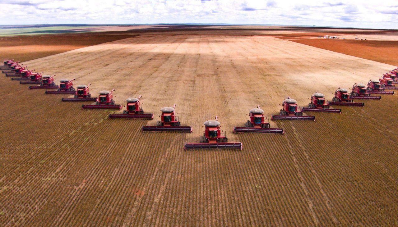 為了自救？ 澳企做出新舉動，與中國企業或成為合作夥伴