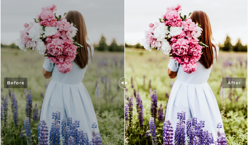 2020高级预设：外拍杜鹃花海人像LR预设+移动LR预