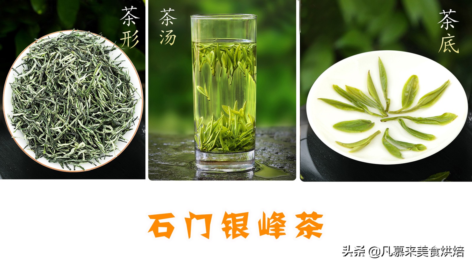 什么茶最好？茶叶品种？中国最好喝的30种名茶，如何选购茶叶