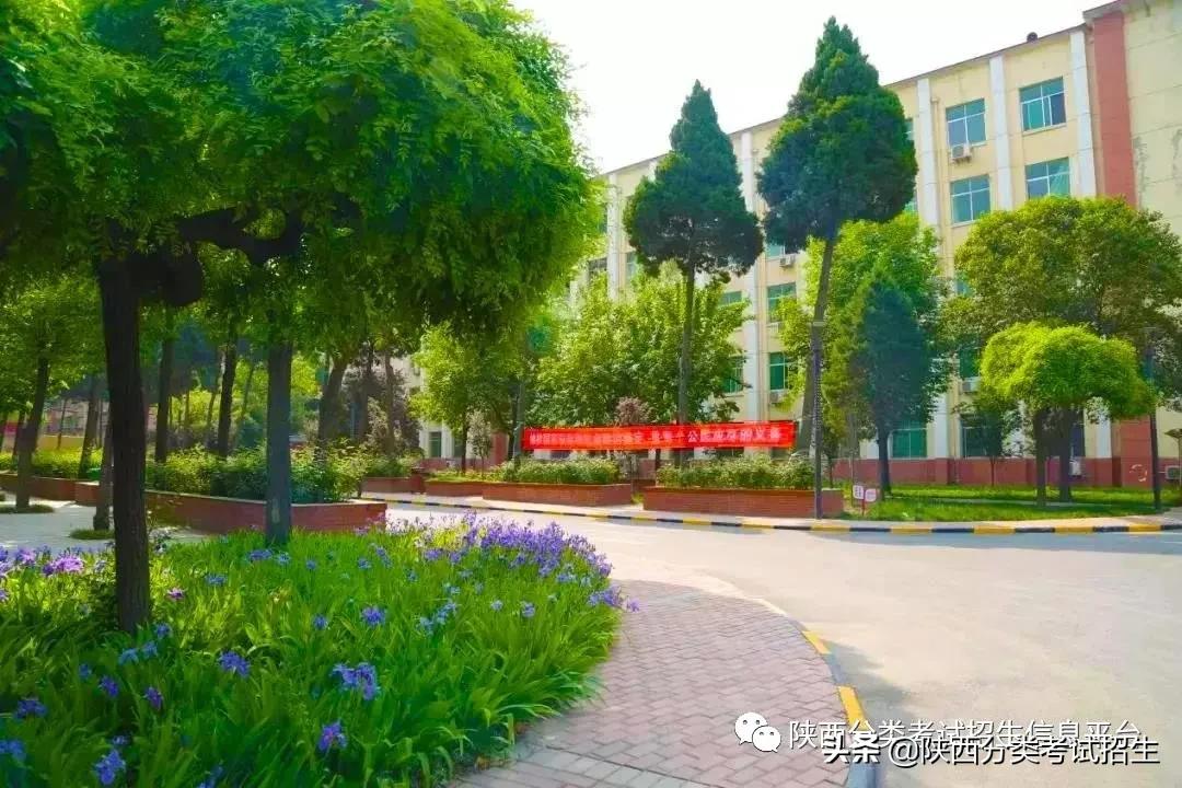 华夏圣地 人文陕西 | 陕西青年职业学院