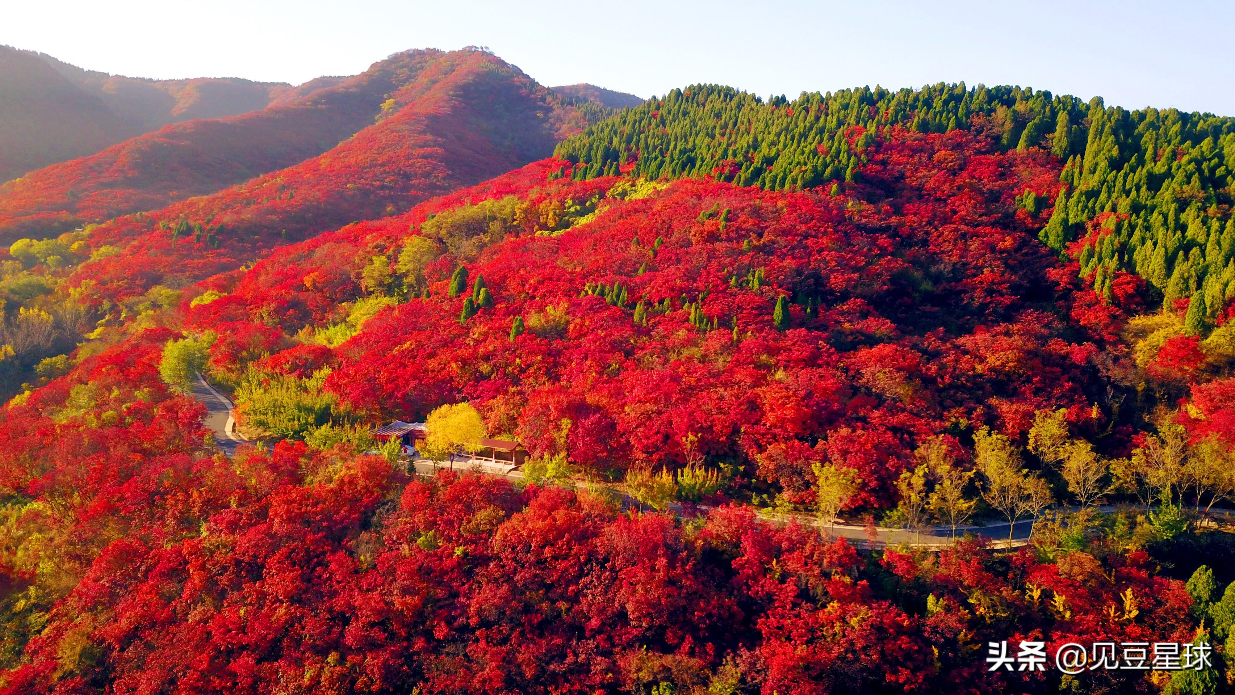 北京最全賞紅葉地點，你還知道哪里？