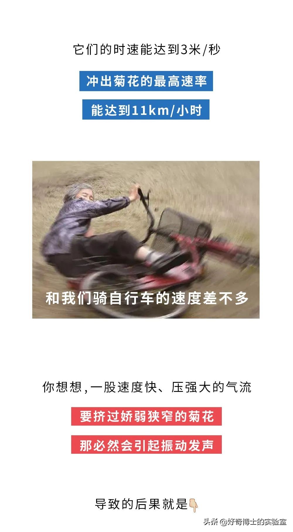 為什么響屁不臭，臭屁不響？能放出又響又臭的屁嗎？