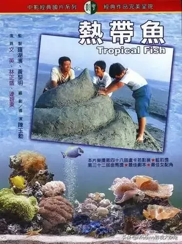 推荐30多部精彩的冷门电影,大家可以收藏起来慢慢看
