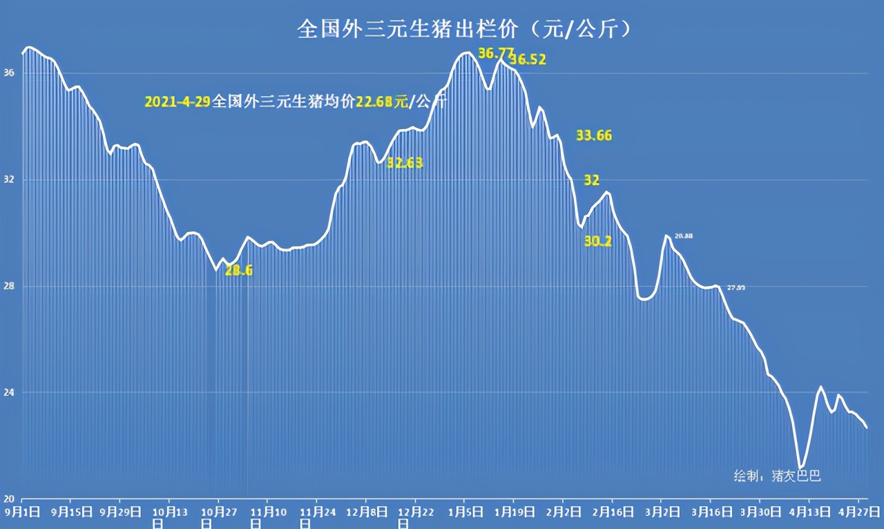 猪价大跌38%，节前“一片绿”，5月要跌破10元？2个好消息或反弹