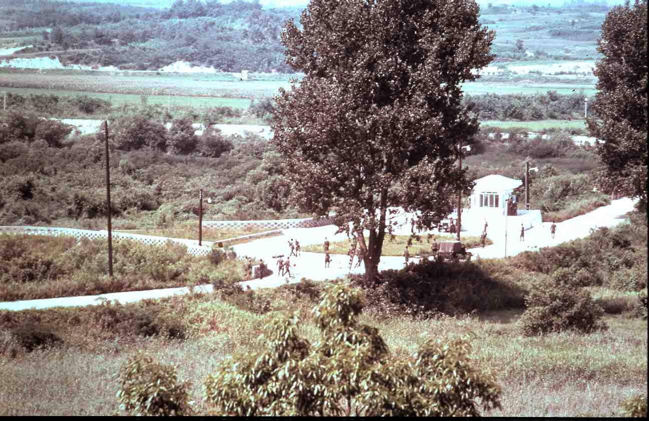 1976年，美军为了砍掉一棵白杨树，险些引发第二次朝鲜战争