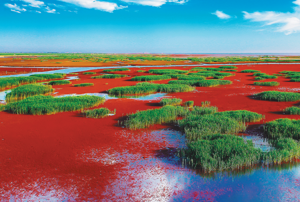 探索乡村振兴成功之道