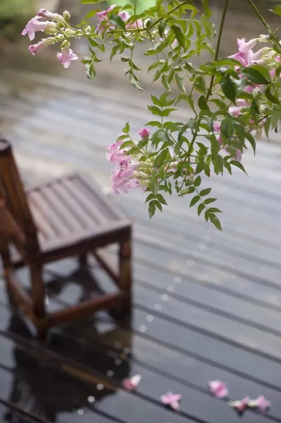 让小雨驱散夏日的炎热-第17张图片-非凡网