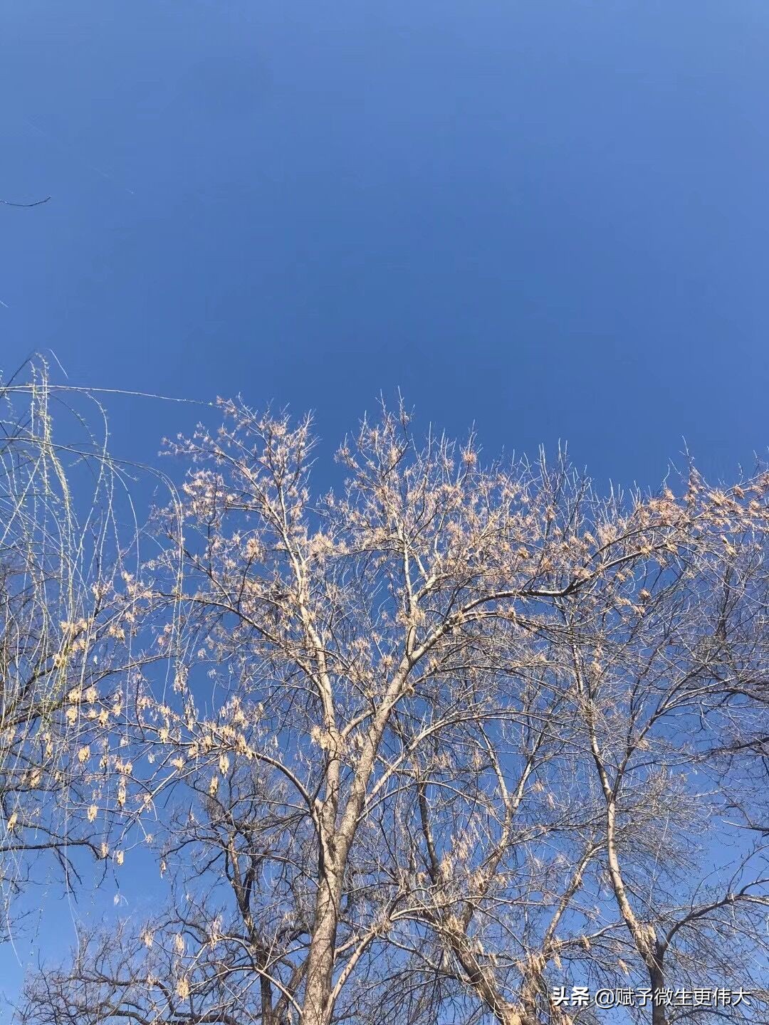 一样春——沙暴之后最好天