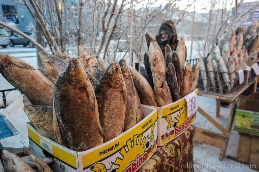 渔业“暴发户”俄罗斯，鱼越多，越离不开中国