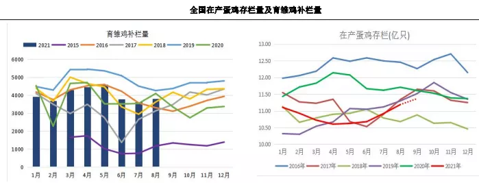 消费旺季 鸡蛋“跌跌不休”意欲何为