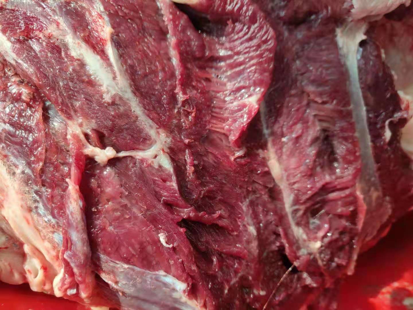 图片[4]-马肉充当牛肉卖 30年的老厨师告诉你 记住这几招，再也不怕坑-起舞食谱网