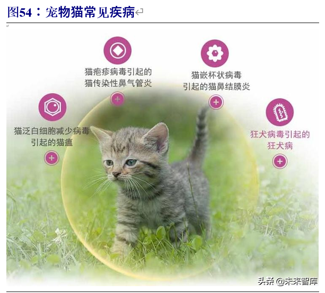 动物保健行业深度报告：行业加速变革前夕，研发型企业迎机遇