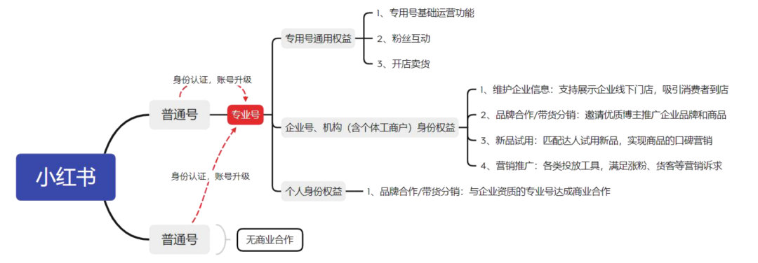 从种草到转化，带你解读小红书产品新政策