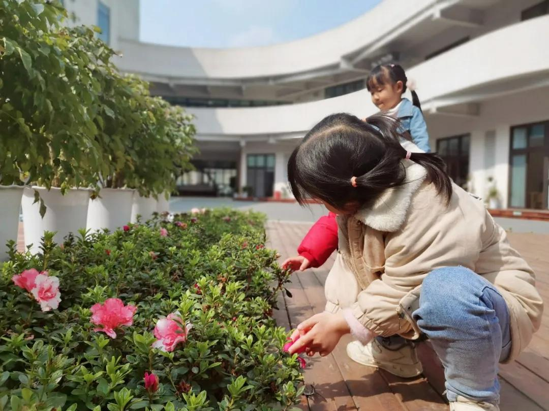 天府新区元音幼儿园丨耳朵的秘密