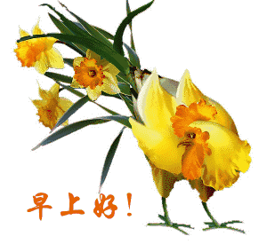 温馨的早安祝福语 早安问候语大全图片