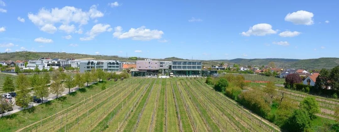 扩建开业，112间客房给您极致葡萄酒主题体验