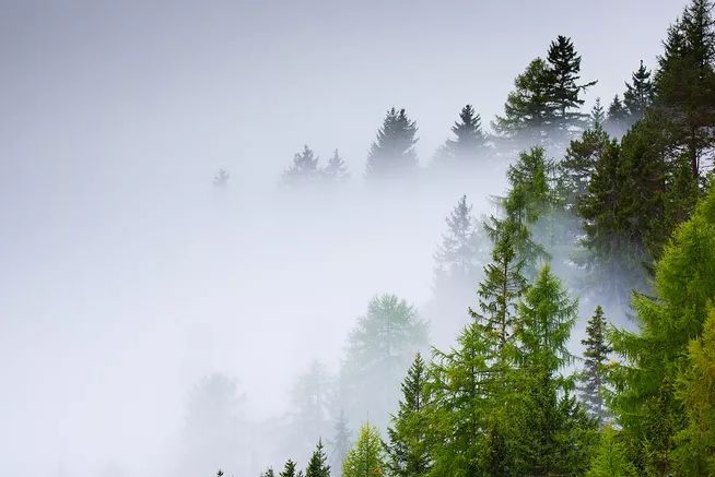 古诗词里的山中秋色，气象万千，摄人心魄的美丽-第15张图片-诗句网