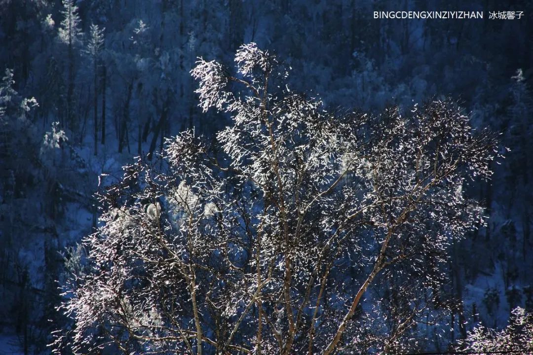 Xuexiang Tianlu, walking through the poetry of autumn leaves dancing with the first snow