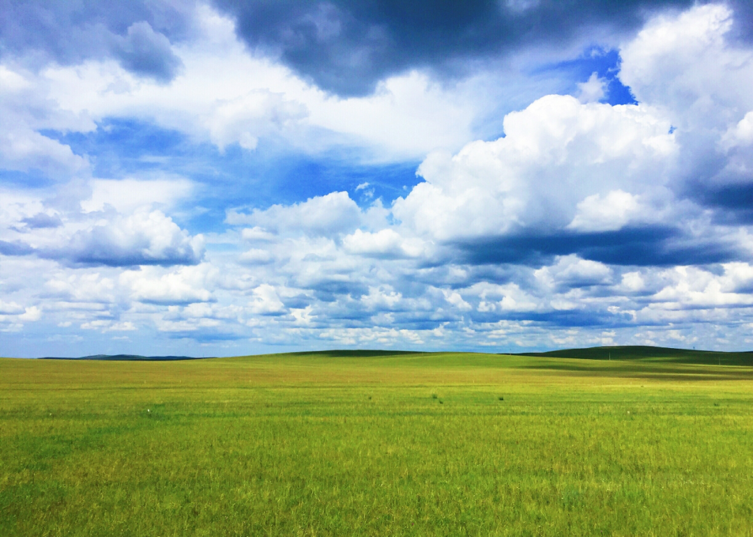 这三条自驾线路超美，草原、湖泊、奶酒烤全羊，去过的人都疯了