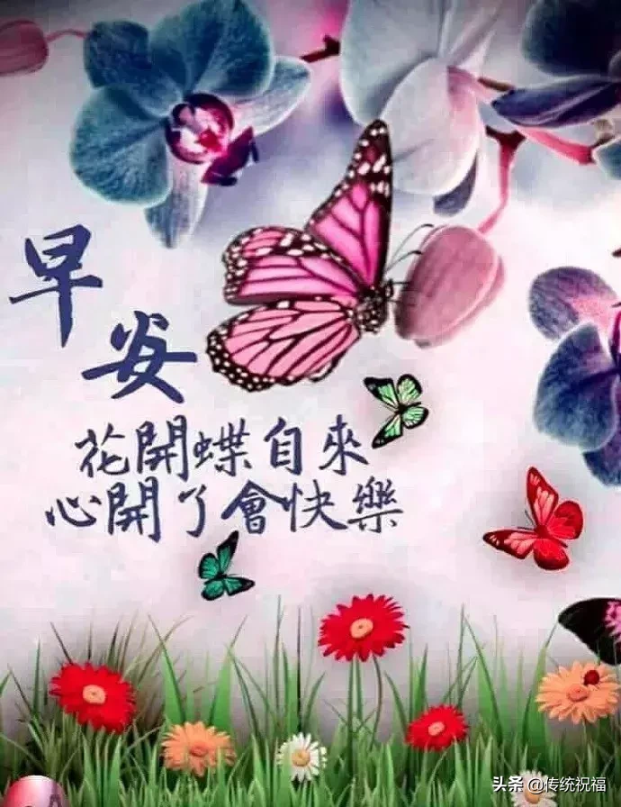 最能打动人心的早安问候 图片