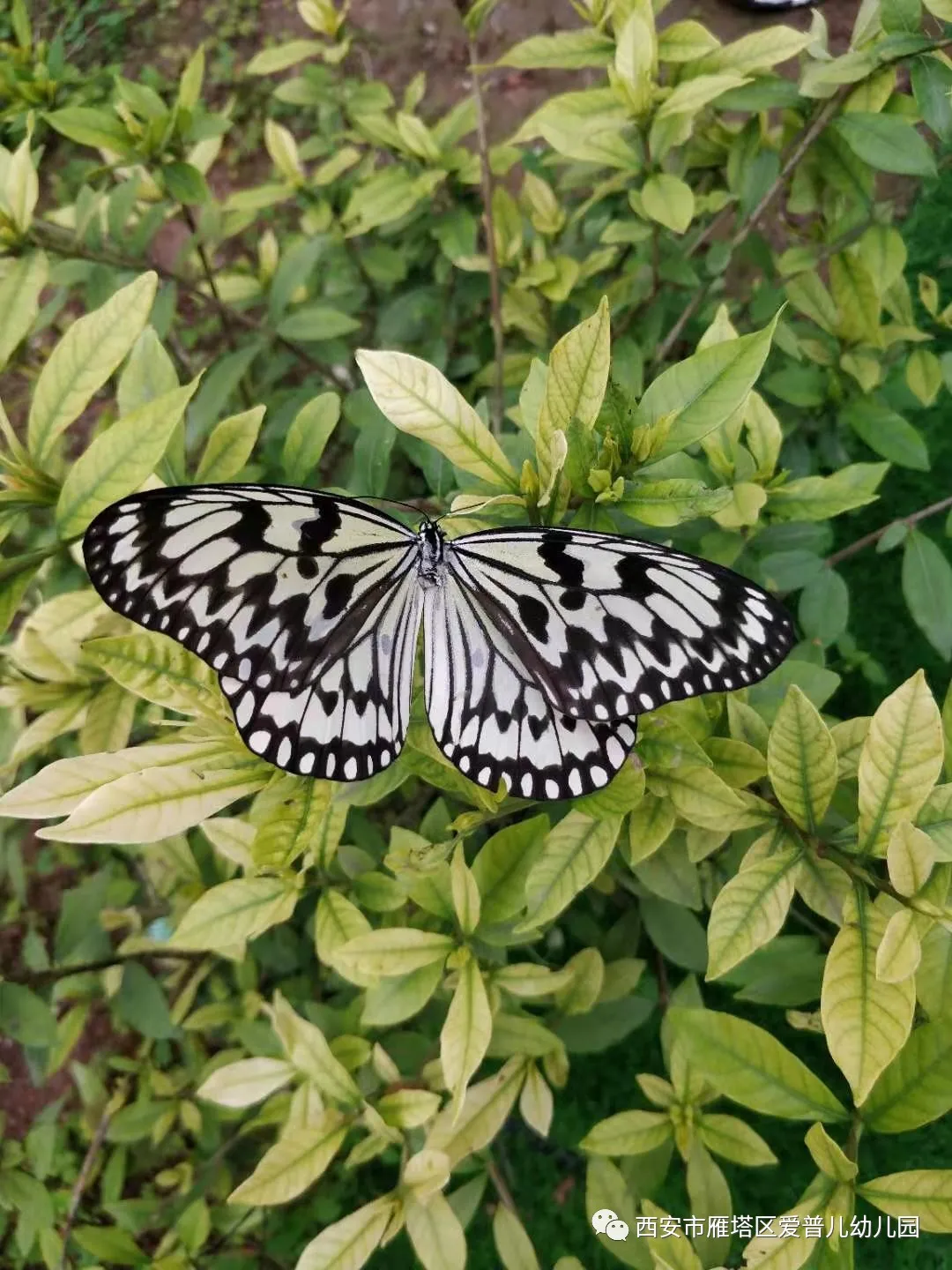 ����عˡ����ն��׶�԰�а�����ѧ��ʵ�߽���δ��