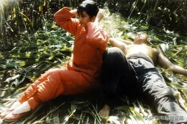 80年代十大国产片:《黑楼孤魂》吓死人,《庐山恋》破世界纪录