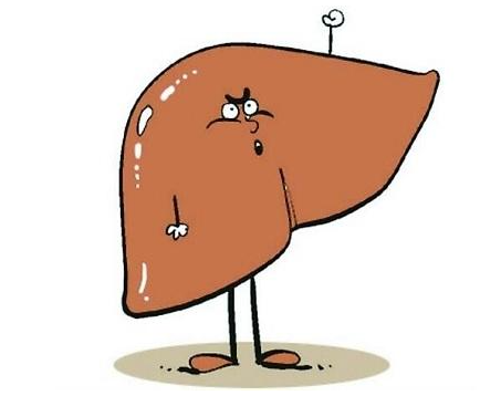 脂肪肝，就是肝脏在说：我不能呼吸