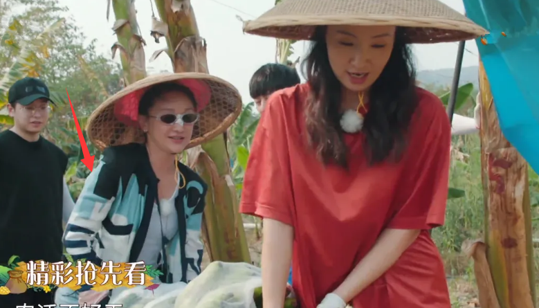 周迅录节目懒得化妆，穿5万外套下地干活，黄磊