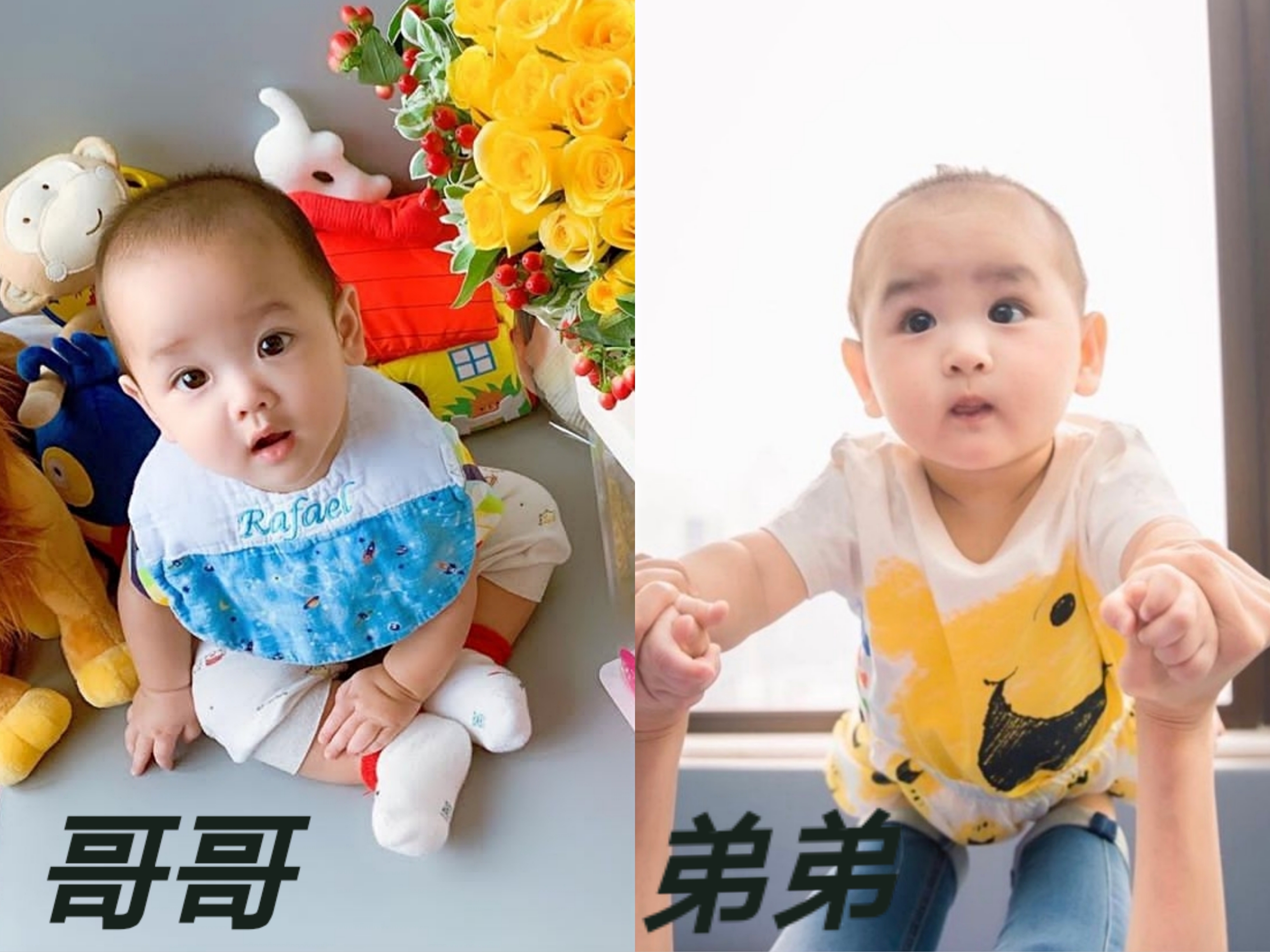 郑嘉颖次子满一周岁，陈凯琳晒照为其庆生，弟弟和哥哥像双胞胎